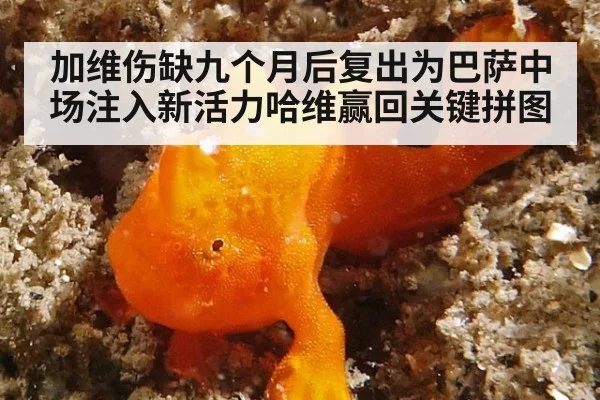 加维伤缺九个月后复出为巴萨中场注入新活力哈维赢回关键拼图