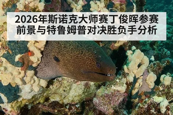 2026年斯诺克大师赛丁俊晖参赛前景与特鲁姆普对决胜负手分析